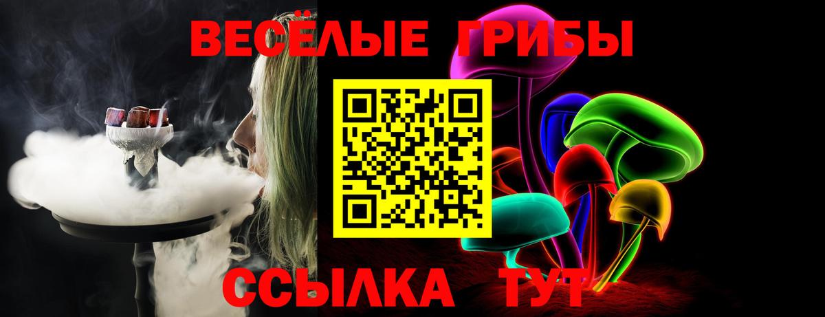 Домодедово  Галлюциногенные грибы Psilocybine cubensis  Вход с VPN 